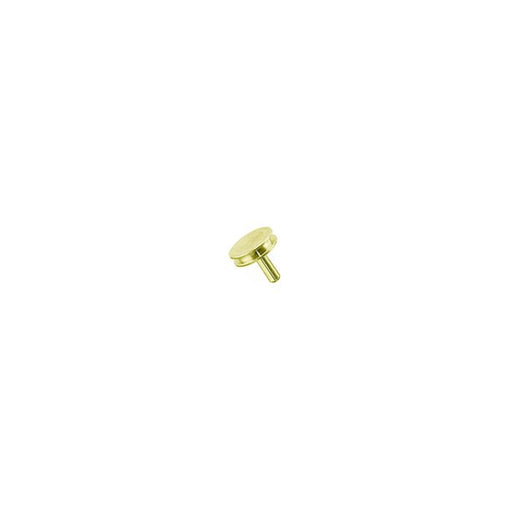 SEM pin stub ш12.7 diameter top, standard pin, brass