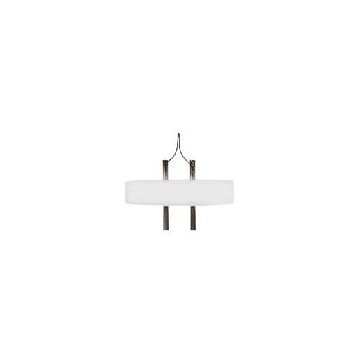 Denka M3 LaB6 cathode, Tescan base, 90 degrees/15Вµm round tip for Tescan SEMs