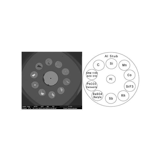 EM-Tec CXS-10GSR EDS/GSR calibration standard, 10 materials plus F/C on pin stub