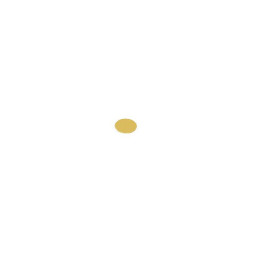 Nano-Tec AFM / SPM Metal Specimen Support Discs, coated with 1Вµm gold ш10, ш12, ш15, ш20mm