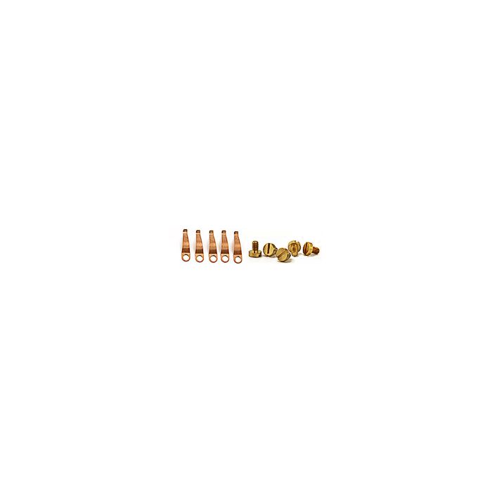 5 each EM-Tec copper alloy S-Clips with 5 each brass M2x3mm screws