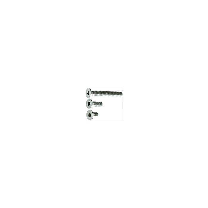 EM-Tec M4F set of hex flat head screws M4, stainless steel AISI 304