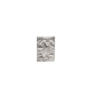 Micro-Tec ziplock barrier foil storage bags, 250ml