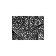 EM-Tec Au on C resolution standard 3, 3-50nm, unmounted