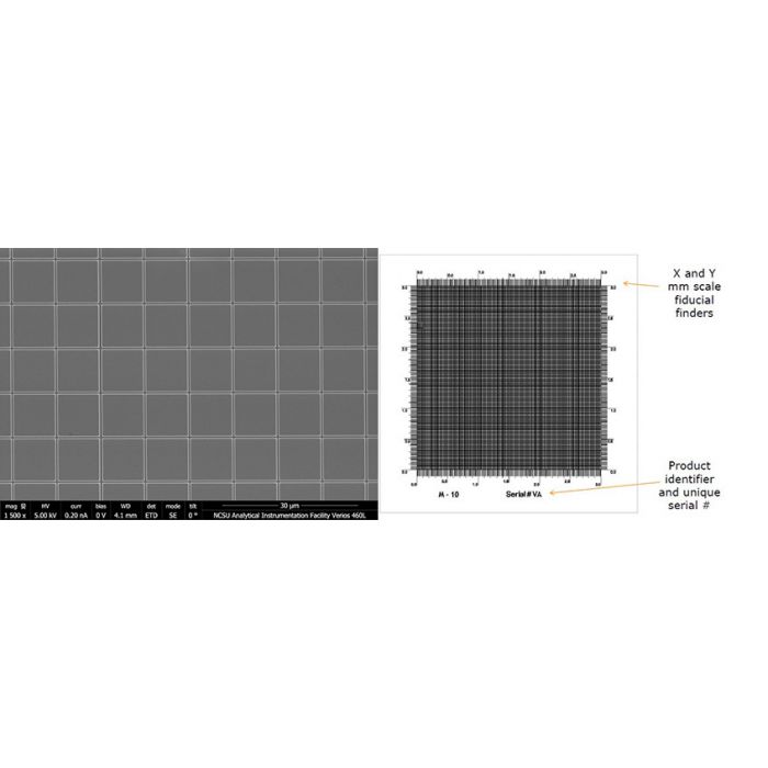 EM-Tec M-10 calibration standard with 10µm grid pattern, unmounted