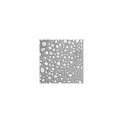 EM-Tec TS1 TEM test standard perforated carbon film