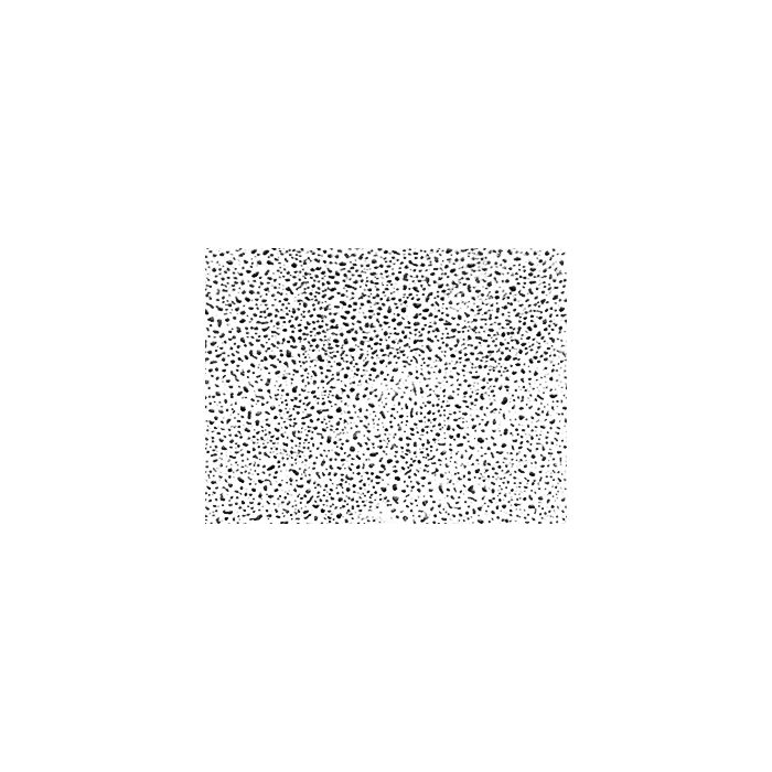 EM-Tec TS2 TEM test standard evaporated Pt/Ir