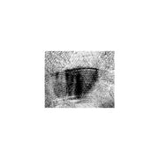 EM-Tec TR2 TEM resolution standard graphitised carbon black