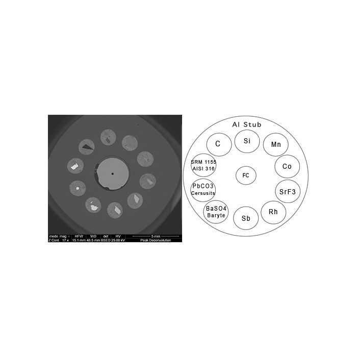 EM-Tec CXS-10GSR EDS/GSR calibration standard, 10 materials plus F/C on pin stub