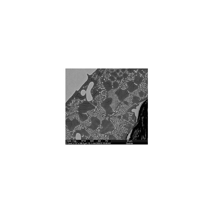 EM-Tec RXS-2WSi resolution and contrast test standard, fused W/Si plus F/C on pin stub