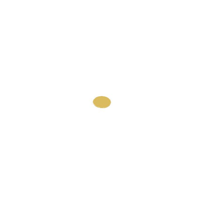 Nano-Tec AFM / SPM Metal Specimen Support Discs, coated with 1Вµm gold ш10, ш12, ш15, ш20mm