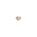 Gold Target, ш24 x 0.2mm Disc, 99.99% Au