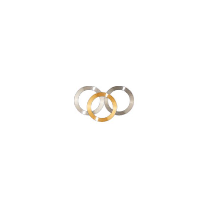 Gold Target,  ш82 x ш60 x 0.1mm Annular on Support Ring, 99.99% Au